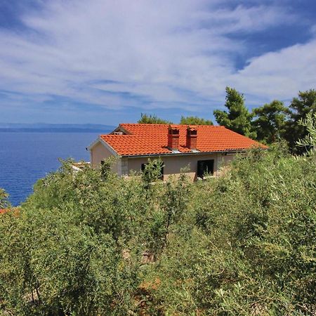 Gorgeous Apartment In Prigradica With Kitchen Εξωτερικό φωτογραφία